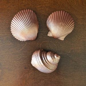 Rose gold painted shells - set of three
